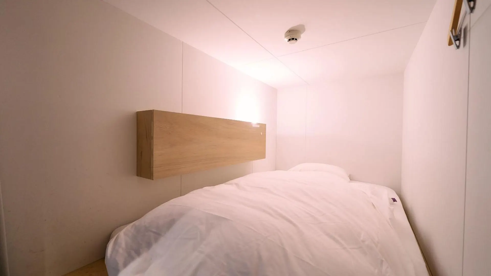 Hotel Plus Hostel Tokyo Kawasaki 川崎町 0*,